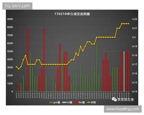 澳门凯旋集团投资项目全景介绍，未来扩展计划与新兴业务的发展方向分析